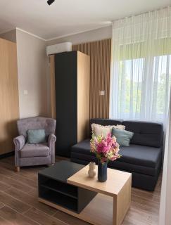 Vila Lena Pool Resort - Studio 6 - Vrdnik - 7