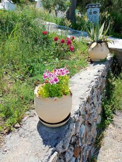 Stefanos Garden - Arménoi - 7