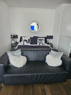Executive Suite AC & Free Parking - Zurigo - 5