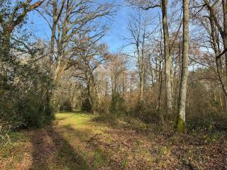 Domaine des Quatre Vents - 6