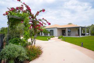 Aerinos private villa - Città di Lefkada - 0