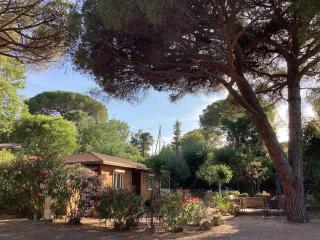 Chalet plein de charme au calme près de st tropez - Gassin - 8