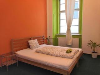 Charles bridge, Old town3 Min walk Private Room G - Prag - 9