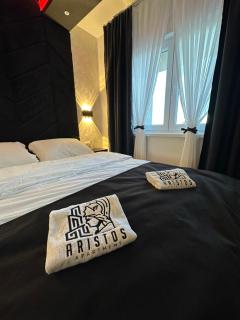 Apartment Aristos - Modriča - 4