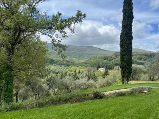 Il Poggio - Luxury villa in Tuscany - Cetona - 3