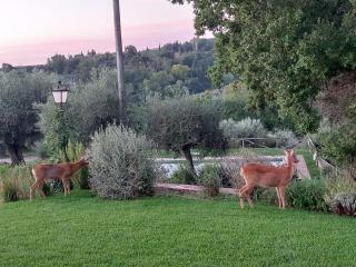 Il Poggio - Luxury villa in Tuscany - Cetona - 8
