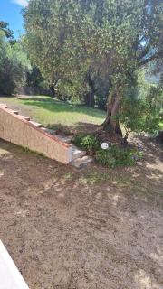 Villa de campagne en Corse - Lumio - 4