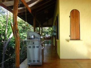 Stunnig Ocean View - Montezuma - 2