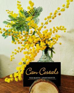 Can Costals Cerezo - Pals - 3