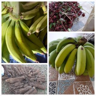 Happy Hall Guesthouse Jamaica - 2