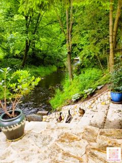 fairy tale cottage on water stream, 30 minutes from South Prague - Davle - 9