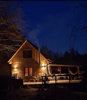 Siedlisko Drzewina Konie- Natura - Las - Drzewina - 7