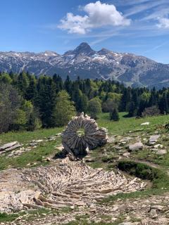 L'écrin du Vercors - Villard-de-Lans - 1