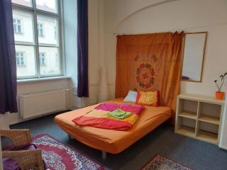 Old Town Center Just in 3 min Walk private room B - Praag - 8