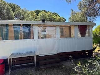 Mobilhome 3 chambres 2 salles de bains - Le Muy - 6