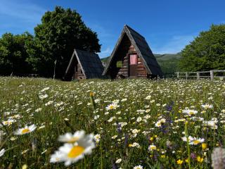 Jatak Cabins and Camping - - 0