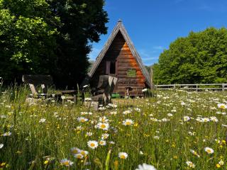 Jatak Cabins and Camping - - 9