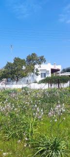 Leodi Place - Kipséli - 9