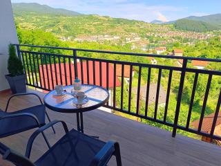 Apartmani Višegradski pogled - 9