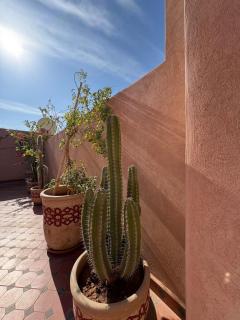 Riad Amanar - Marrakech - 5