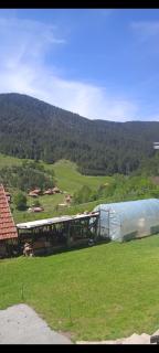 Domacinstvo Prentovic - Čajetina - 4