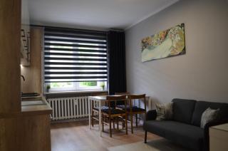 Apartment Reden Park - FREE PARKING - easy check-in - Chorzów - 7