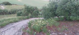 Villa Paquita - Vallejas - 1