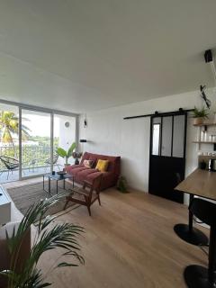 Confort et proximité à Pointe-à-Pitre, logement spacieux pour 4-6 personnes - 9