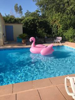 CHALET, PISCINE, JACUZZI,JARDIN CLOTURE, ANIMAUX Acceptés - Saint-Maximin-la-Sainte-Baume - 9