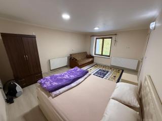 İnce House - Uzungöl - 3