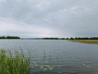 Domek Pszczelarza - 1