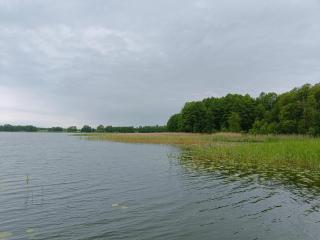 Domek Pszczelarza - 2