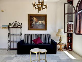 Larga Suite 46 - Ole Solutions - Jerez de la Frontera - 3