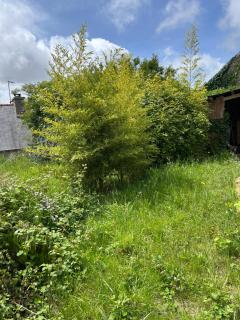 Gîte indépendant renové à Neuf Saint Antoine 20 personnes - Pleubian - 2