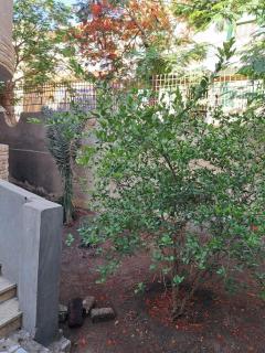 Countryside House - Al Minya - 4