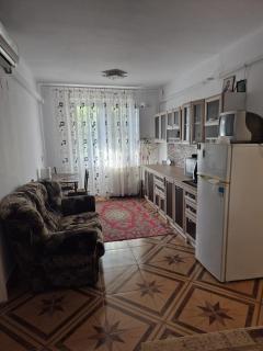 Tulcea Central Apartment - 2