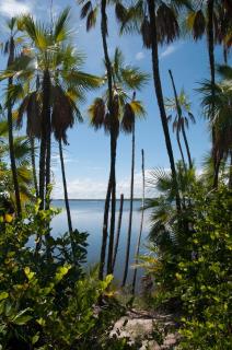 Winters Avalon - Maya Beach - 7