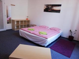 Old Town Center Just in 3 min Walk private room D - Praag - 0