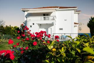Villa Mae - Elaiokhórion - 7