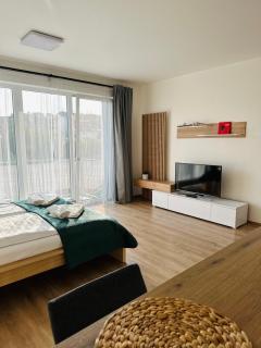 Sunny apartment BRNO - Medlánky - 8