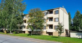 Mäntymetsä - 3 bedroom, 2 bathroom, parking & wifi - Harjavalta - 1