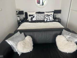 Executive Suite AC & Free Parking - Zurigo - 1