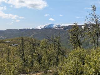 Myrland Apartments - 4