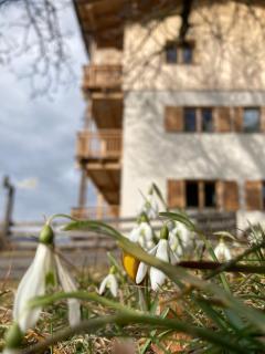 Profigl - Eco Guesthouse - Elvas - 2