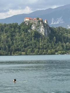 Blue Sky Apartment - Bled - 6