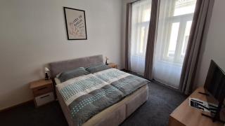 City center apartment Thomas No3 - Prag - 0