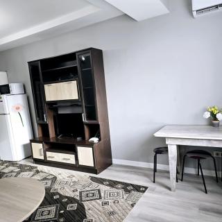 In Centr Apartments - Almaty - 3