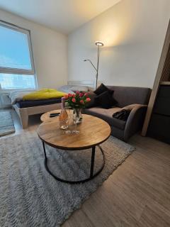 Victory apartment - 8