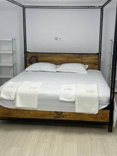 Airport Confort House - Otopeni - 5