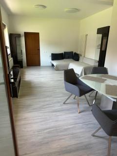 Airport Confort House - Otopeni - 0